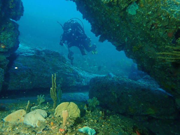 Truck Tyre Reef