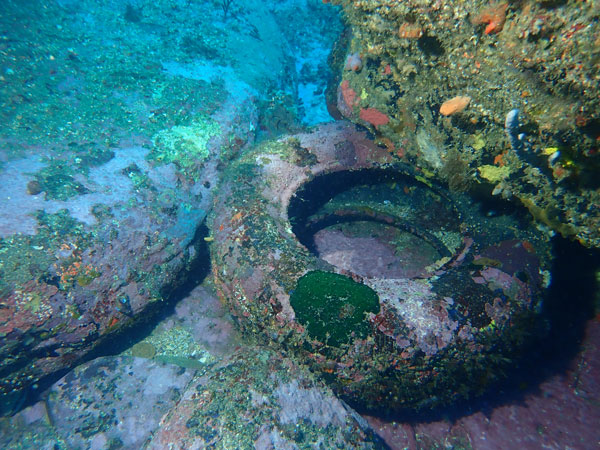 Truck Tyre Reef