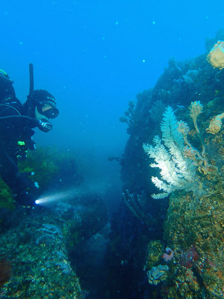 Truck Tyre Reef