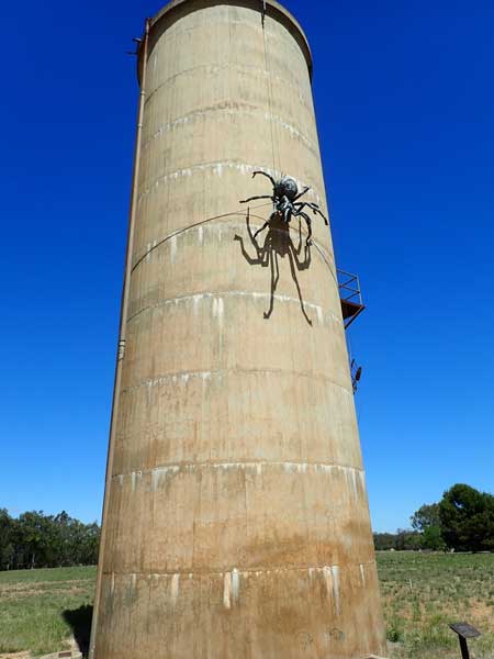Urana