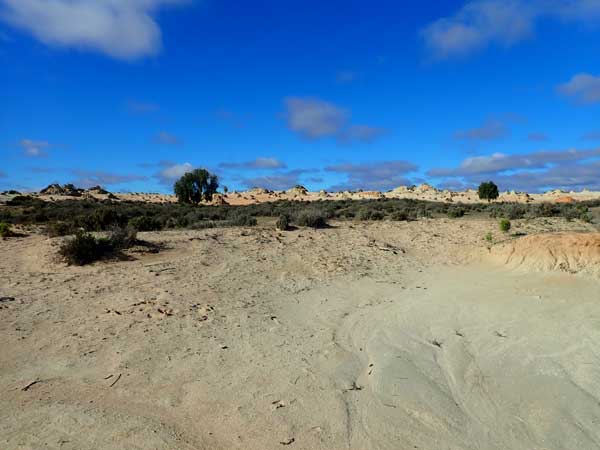 Mungo NP