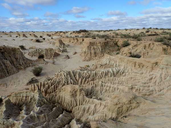 Mungo NP