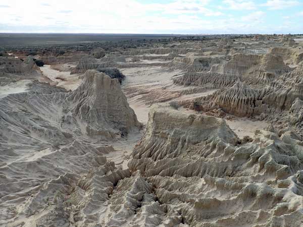 Mungo NP