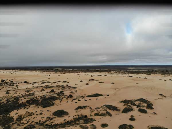 Mungo NP
