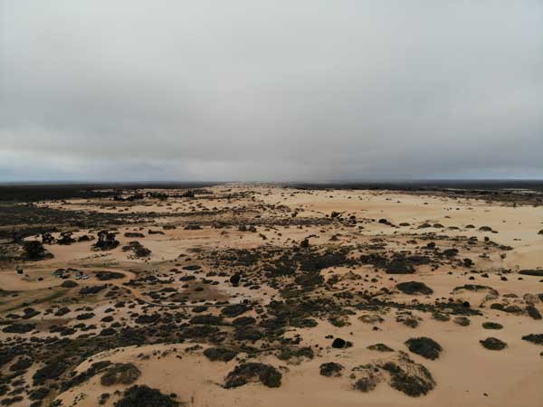 Mungo NP