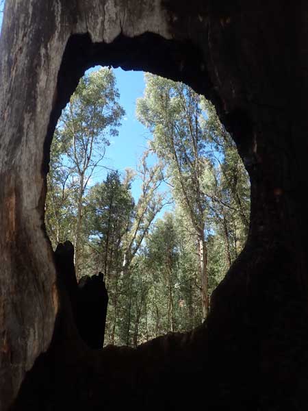 Flinders Ranges