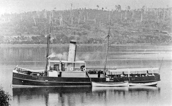 Wybia