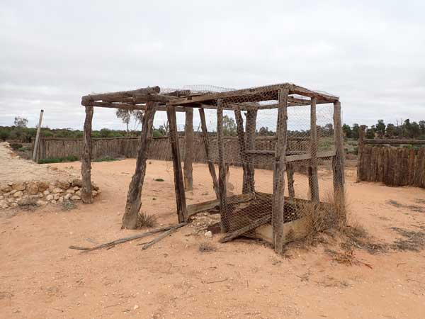 Mungo NP