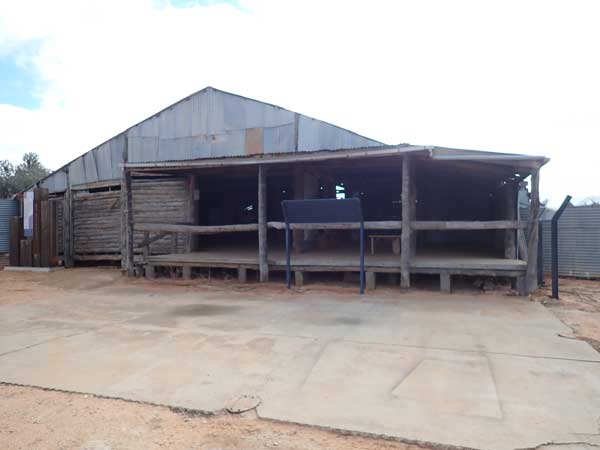 Mungo NP