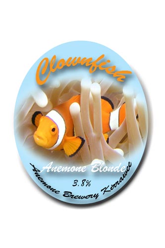 Anemone Brewery