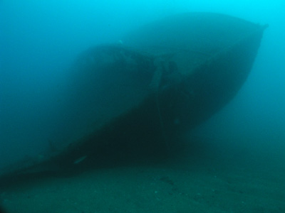 One bow of the Bellubera