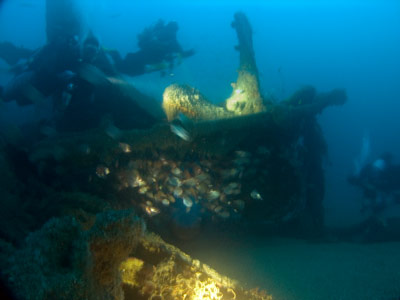 SS Birchgrove Park prop