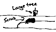 Click to enlarge