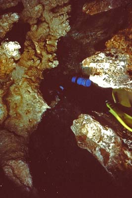 Chandelier Cave