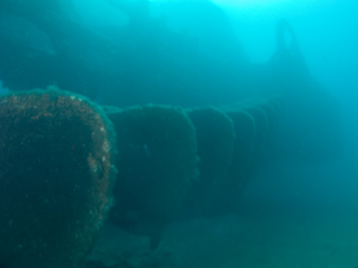 The Coolooli