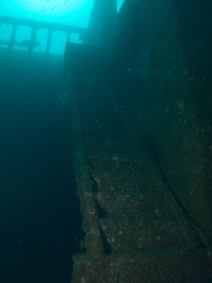 The Coolooli