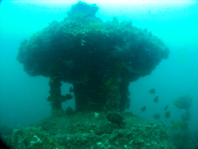 TSS Currajong