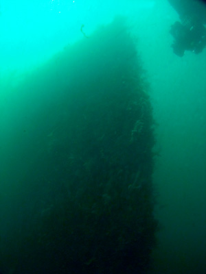 TSS Currajong
