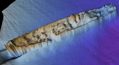 Sonic Scan of the Harbour