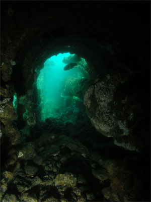 The Empire Gladstone shaft tunnel