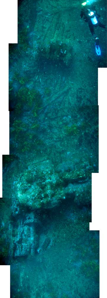 Click to Enlarge