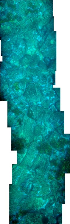 Click to Enlarge