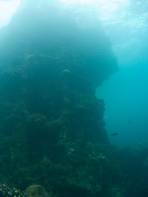 Kinugawa Maru engine