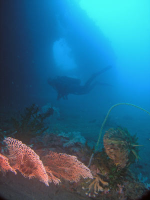 Kinugawa Maru prop shaft