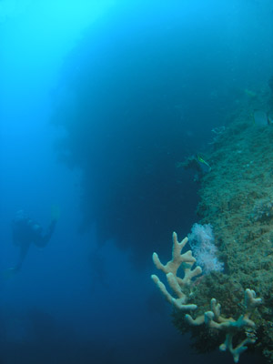 Kinugawa Maru stern