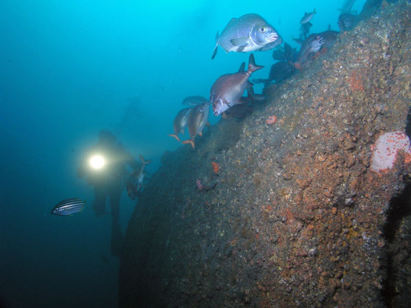 The boiler