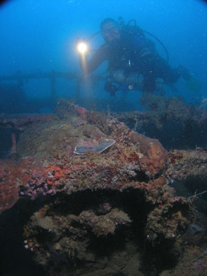 The depth charge racks