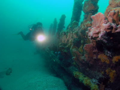 SS Oakland hull
