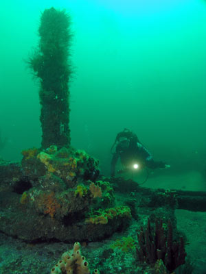 SS Oakland mast