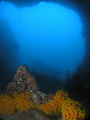 Pimpernel Rock