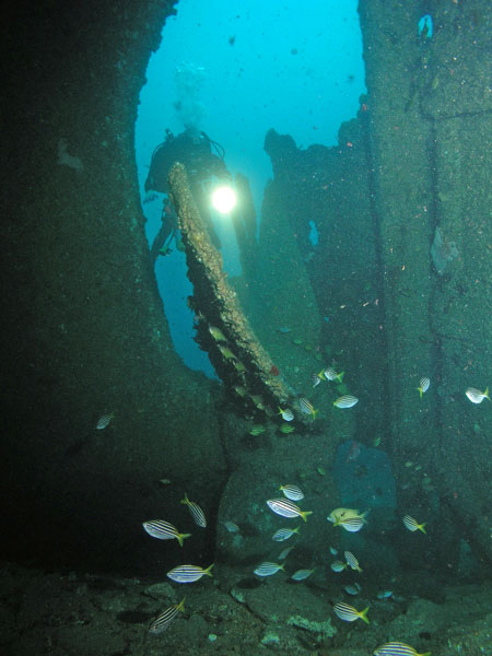 Satara Prop