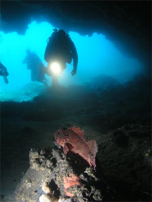 The cave