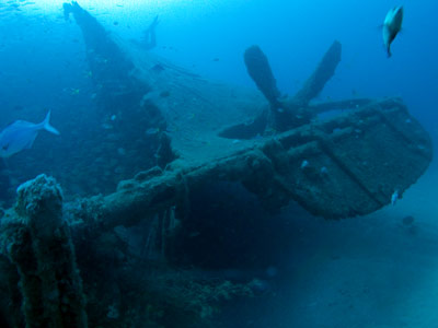 The stern