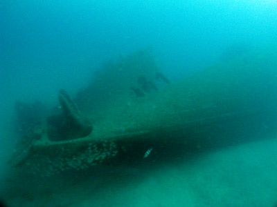 The stern