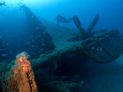 The stern