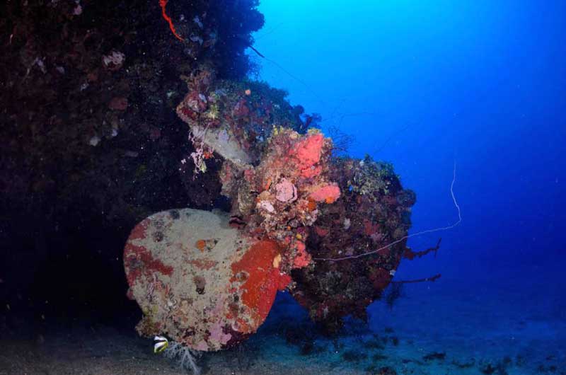 Gosei Maru