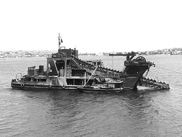 The Coolooli