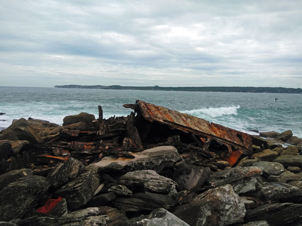 The Minmi wreckage