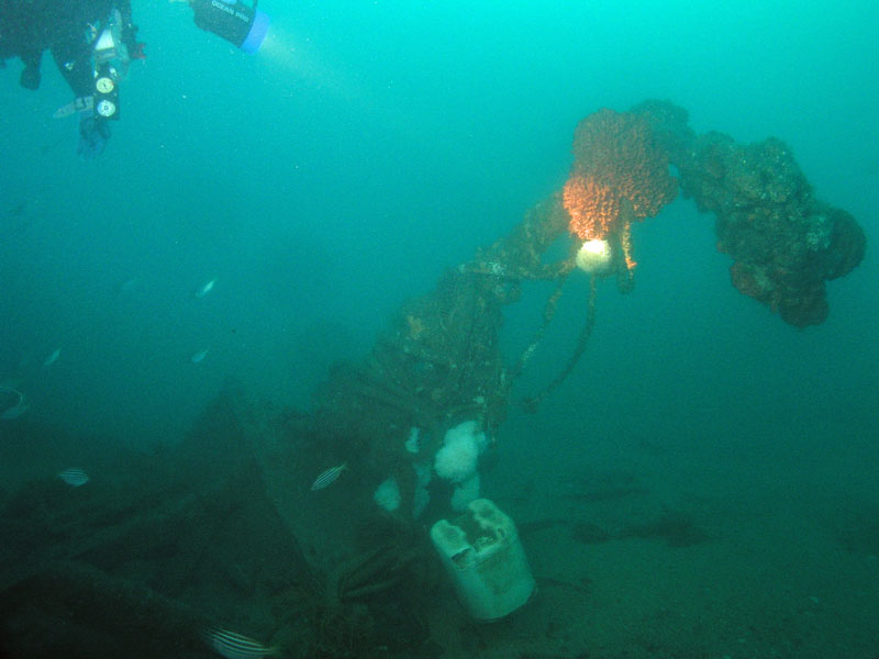 The boiler