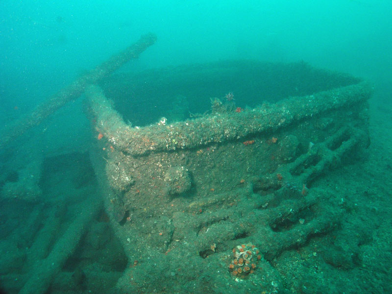 The boiler